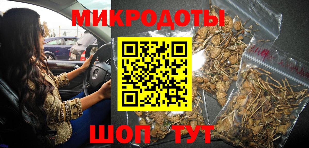 Галлюциногенные грибы MAGIC MUSHROOMS Дербент