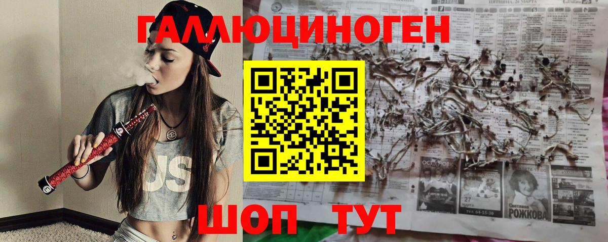 Дербент  Псилоцибиновые грибы мицелий  Псилоцибиновые грибы Cubensis  Вход с VPN 